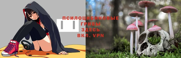 скорость Горнозаводск