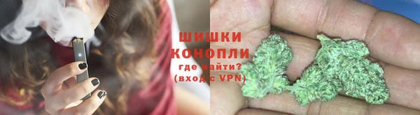 PSILOCYBIN Горняк