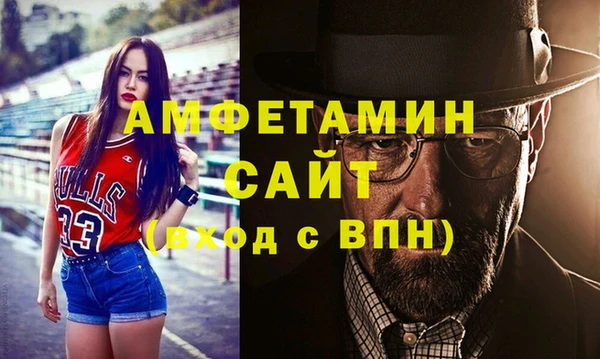 PSILOCYBIN Горняк