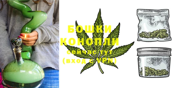 PSILOCYBIN Горняк