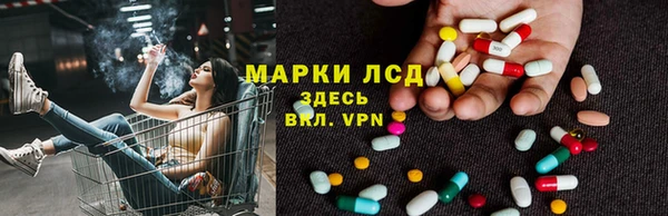 PSILOCYBIN Горняк