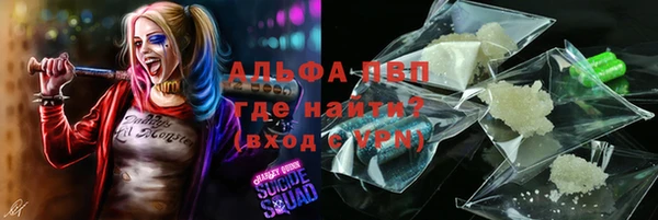 PSILOCYBIN Горняк