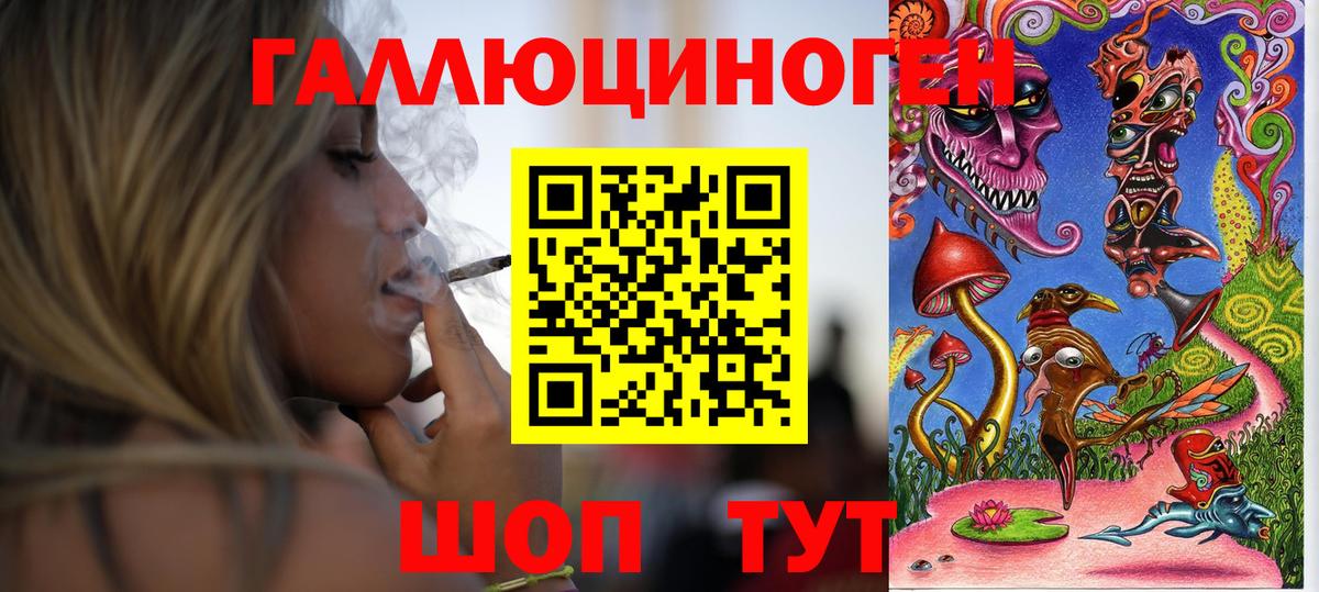 Галлюциногенные грибы мухоморы  Псилоцибиновые грибы Psilocybe  Владимир 