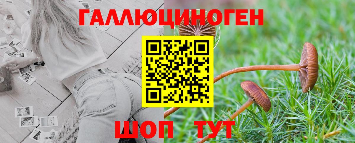 Галлюциногенные грибы мицелий Владимир