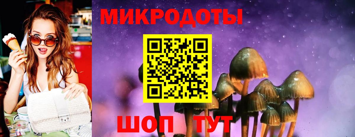 Псилоцибиновые грибы GOLDEN TEACHER Владимир