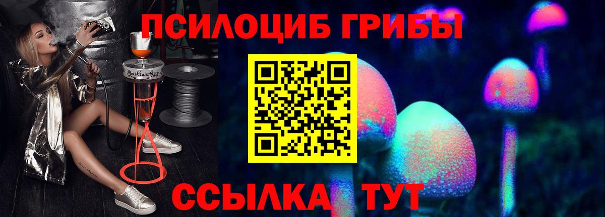 Галлюциногенные грибы Psilocybe  Галлюциногенные грибы Cubensis  Вход с VPN  Владимир 