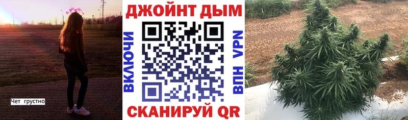 купить наркотики цена  Владимир  hydra зеркало  Бошки марихуана семена 