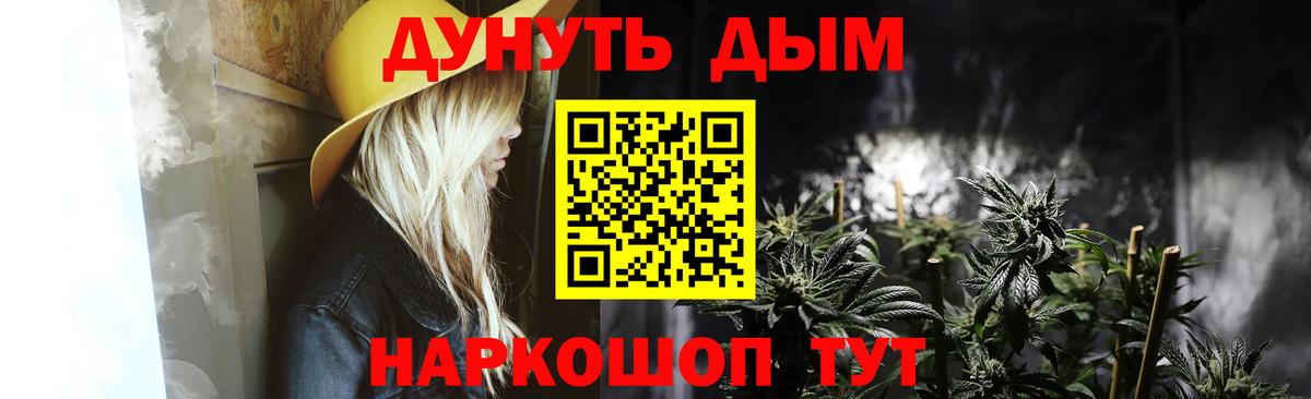 Каннабис OG Kush Владимир